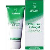 Растительная зубная паста-гель на травах для всей семьи 75мл